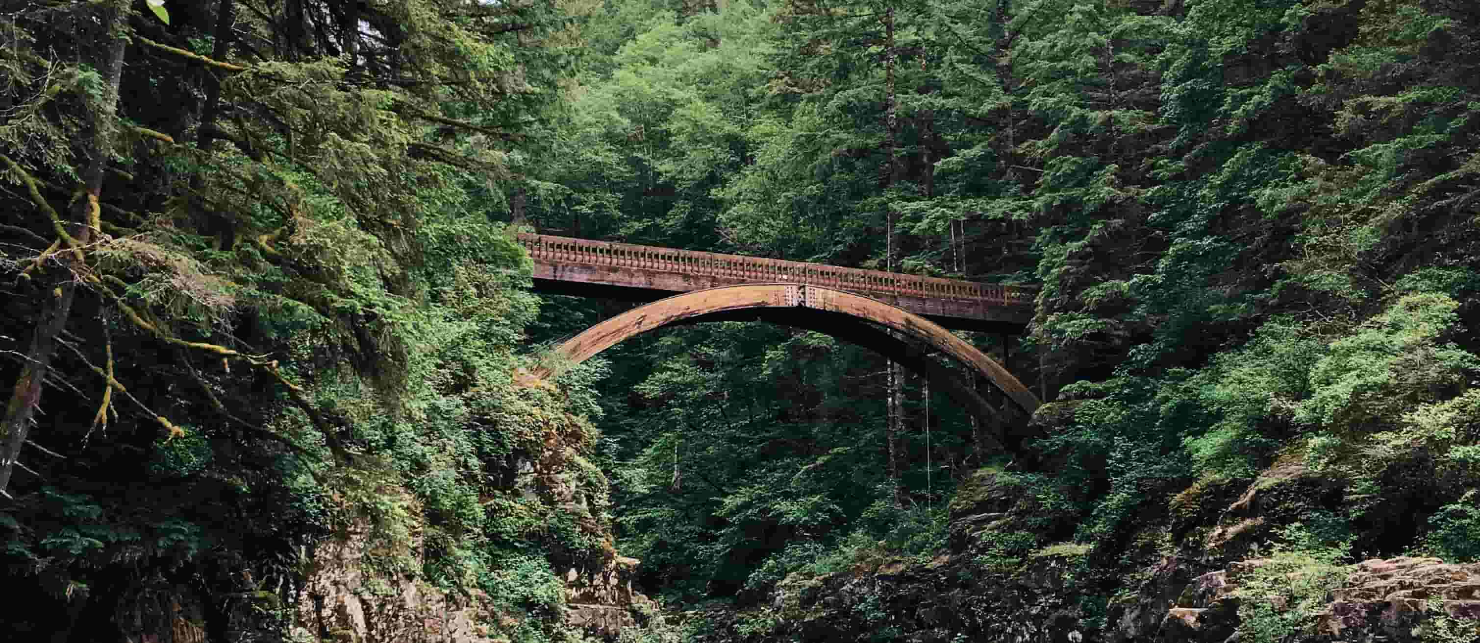 Weathered arched bridge spanning a forested ravine, surrounded by dense green trees, tranquil natural setting